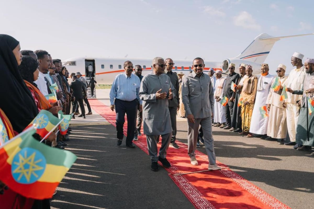 Dangote Raises Ethiopia Fertilizer Investment to $4 Billion - Image 2
