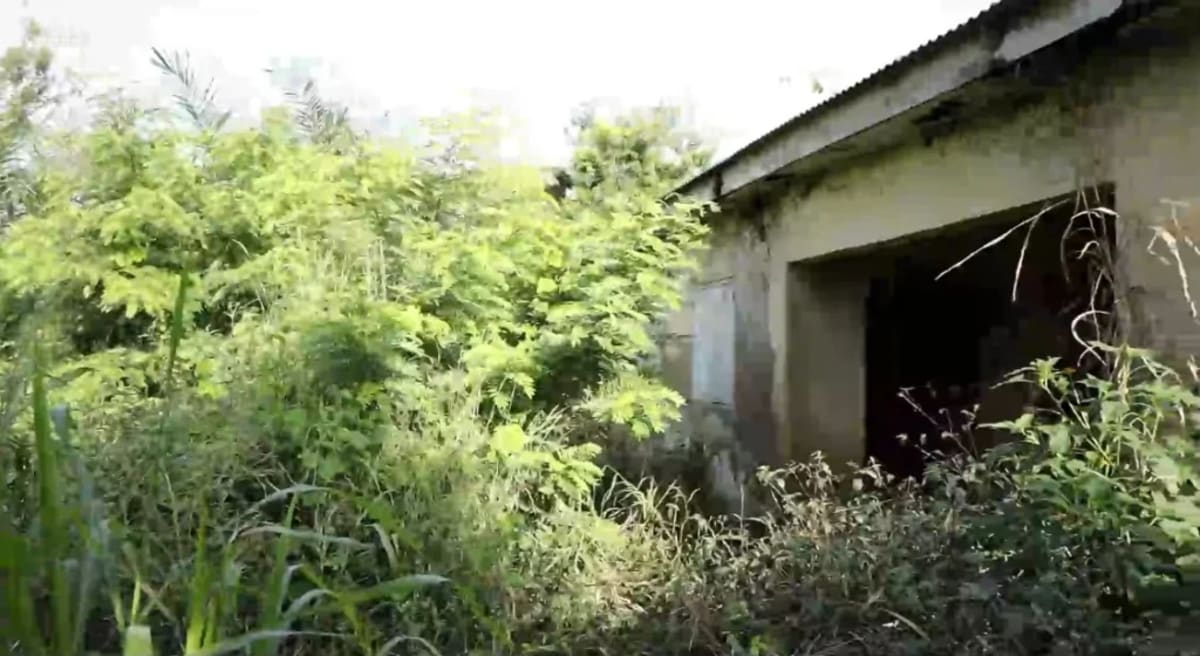 Nigerian Village Gets Health Center After Journalist's Report - Image 3