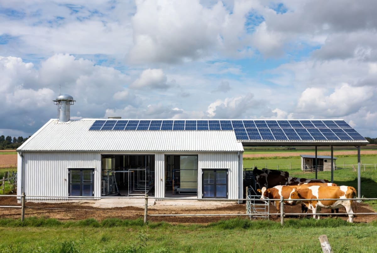 Netherlands Opens World's First Farm-Based Meat Lab - Image 5