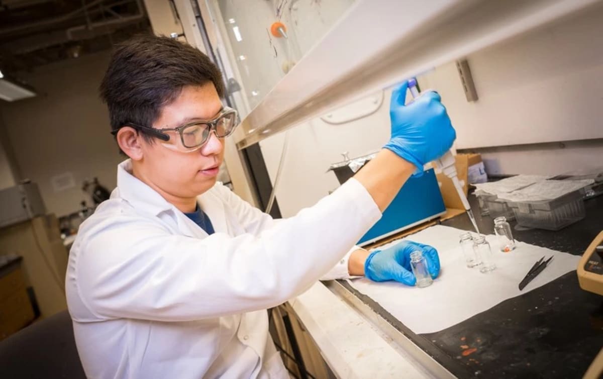 China Hits 28% Efficiency Record in Next-Gen Solar Cells