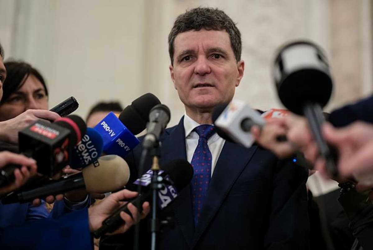 Bucharest Dog Festival Feeds Shelter Dogs With Every Ticket - Image 3