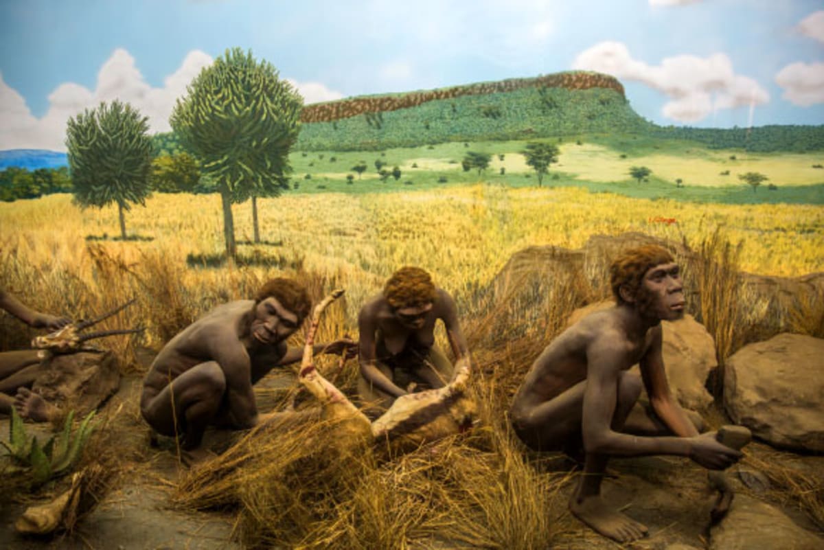 Scientists Find 2 Ghost Ancestors Hidden in Your DNA - Image 2