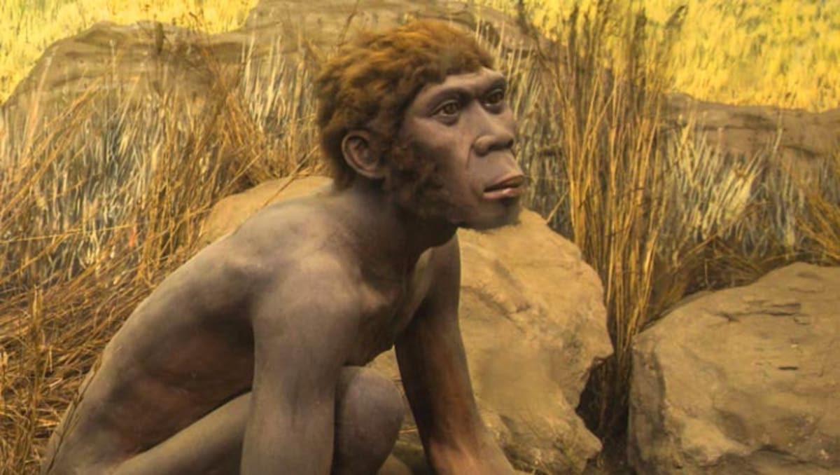 Scientists Find 2 Ghost Ancestors Hidden in Your DNA