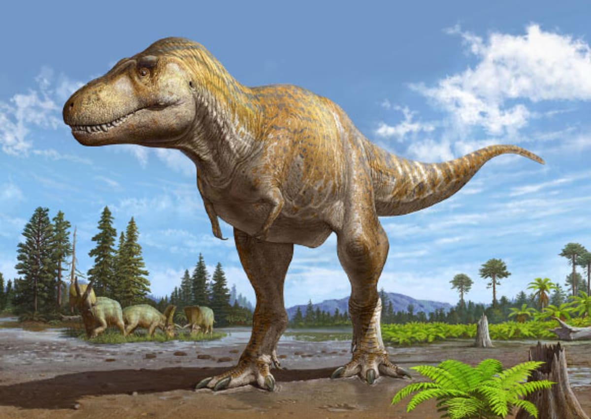 T. Rex Tiny Arms Mystery Solved After 66 Million Years - Image 2