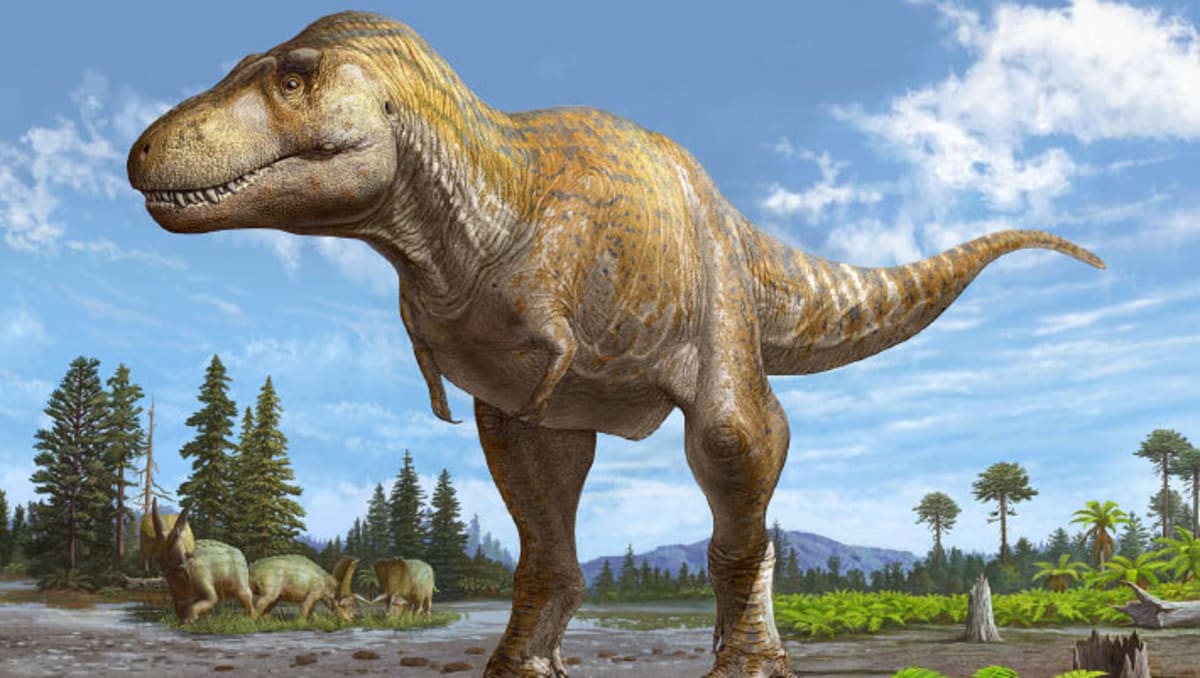 T. Rex Tiny Arms Mystery Solved After 66 Million Years