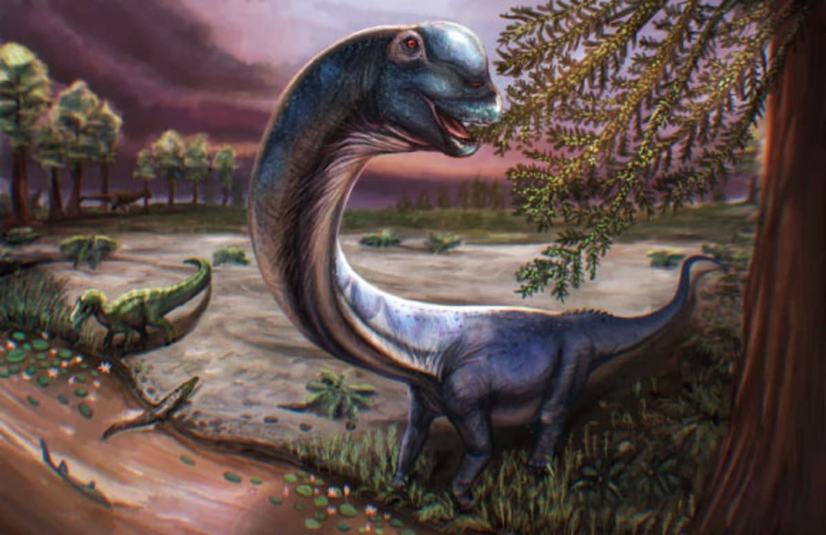 Thailand's Largest Dinosaur Reveals Hidden Prehistoric World - Image 2