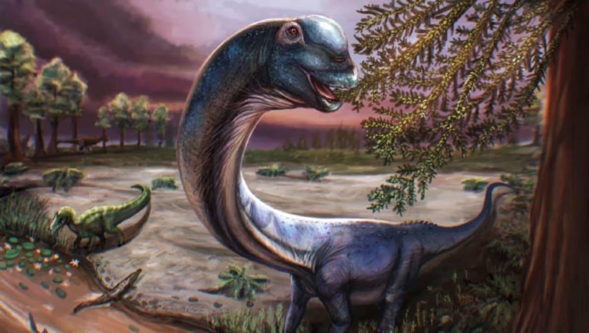 Thailand's Largest Dinosaur Reveals Hidden Prehistoric World
