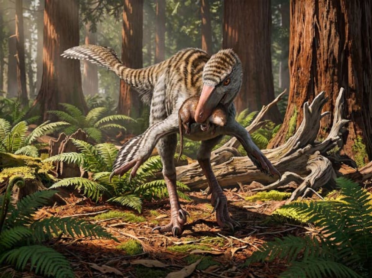 New Mexico Dinosaur Solves 20-Year Identity Mystery - Image 2