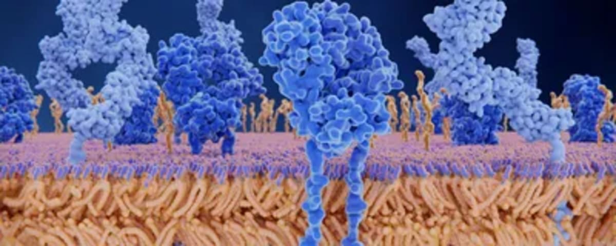 Scientists Honor the Women Who Inspired Their Breakthroughs - Image 4