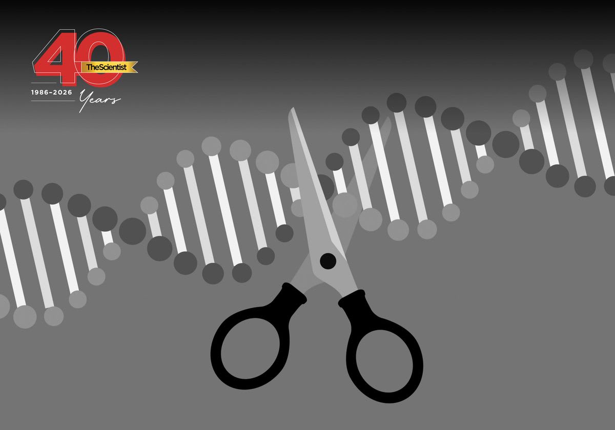 CRISPR Gene Editing Now Saves Lives After 10-Year Journey - Image 2