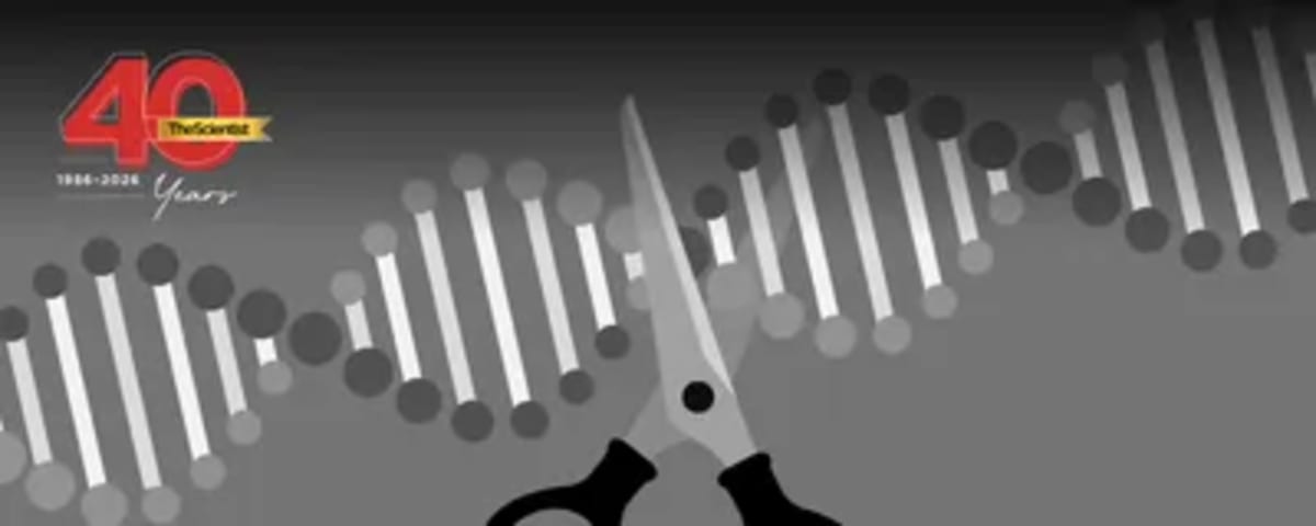 CRISPR Gene Editing Now Saves Lives After 10-Year Journey - Image 3