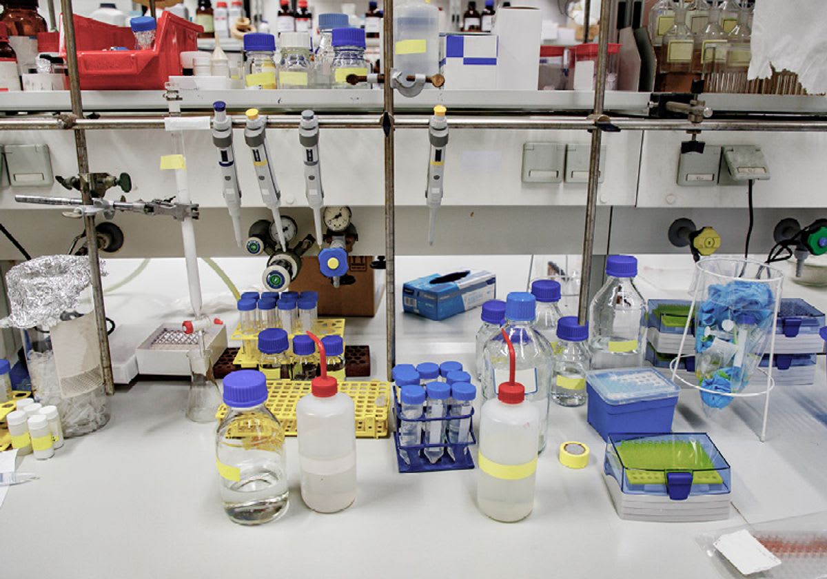 Scientists Find Joy in Lab's Most Mundane Tasks - Image 2