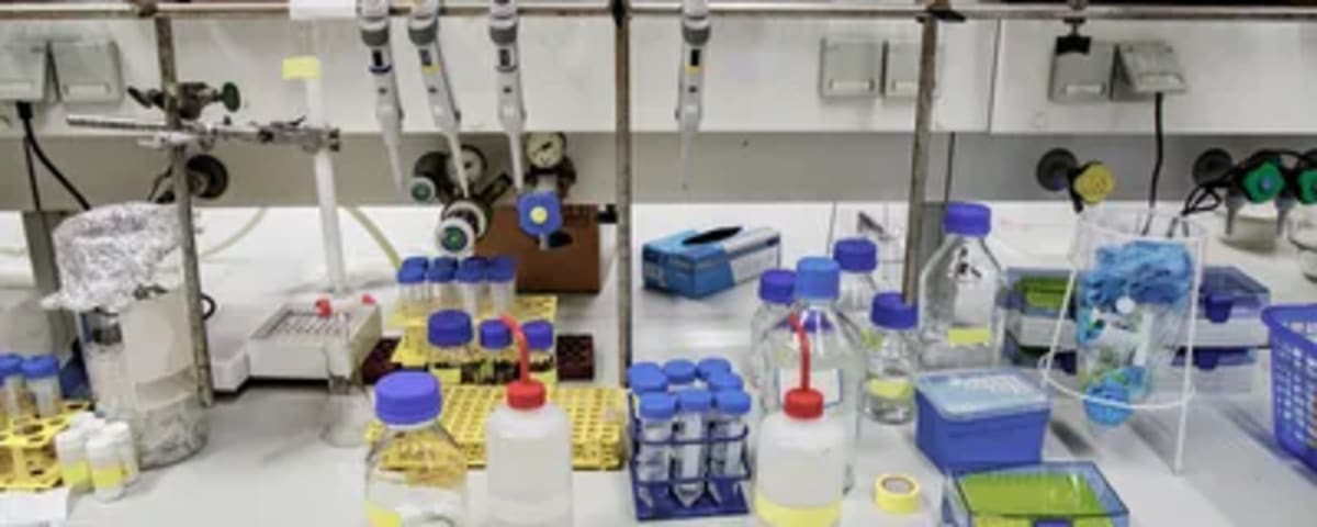 Scientists Find Joy in Lab's Most Mundane Tasks - Image 3