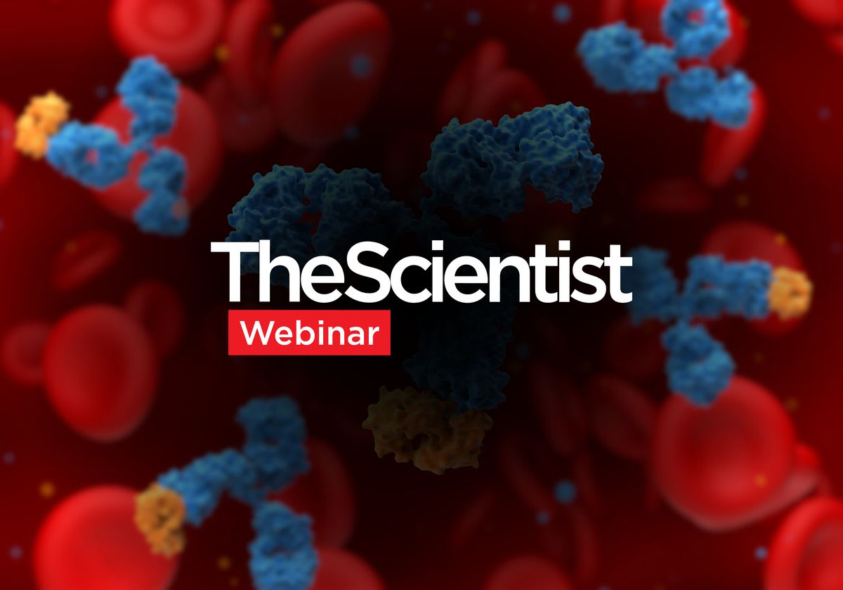 AI Cuts Antibody Discovery Time to Under 5 Weeks - Image 2