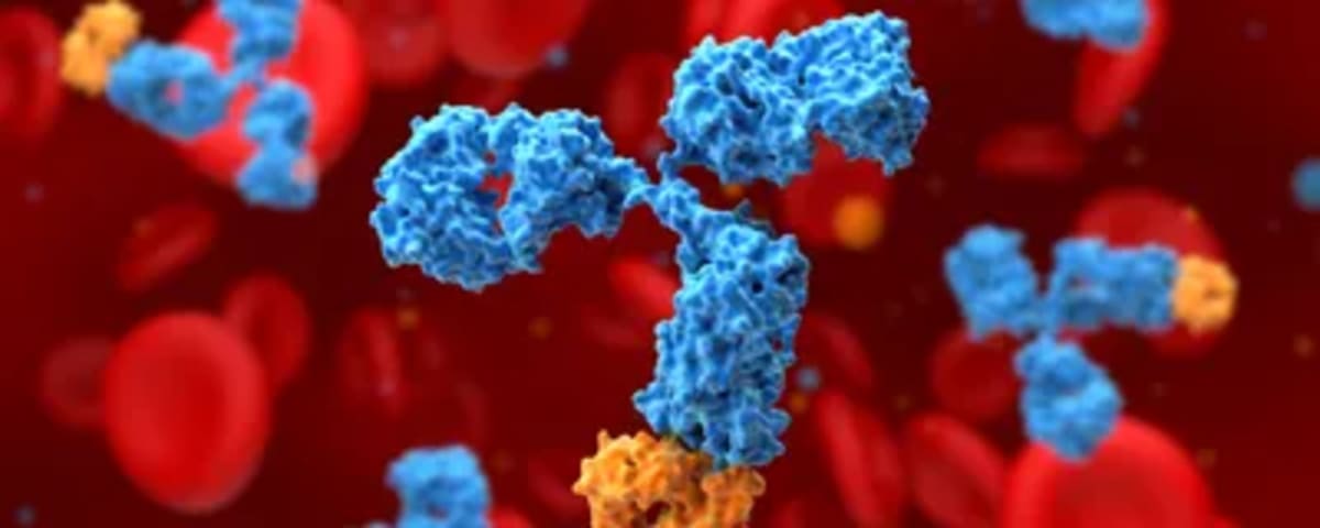AI Cuts Antibody Discovery Time to Under 5 Weeks - Image 3