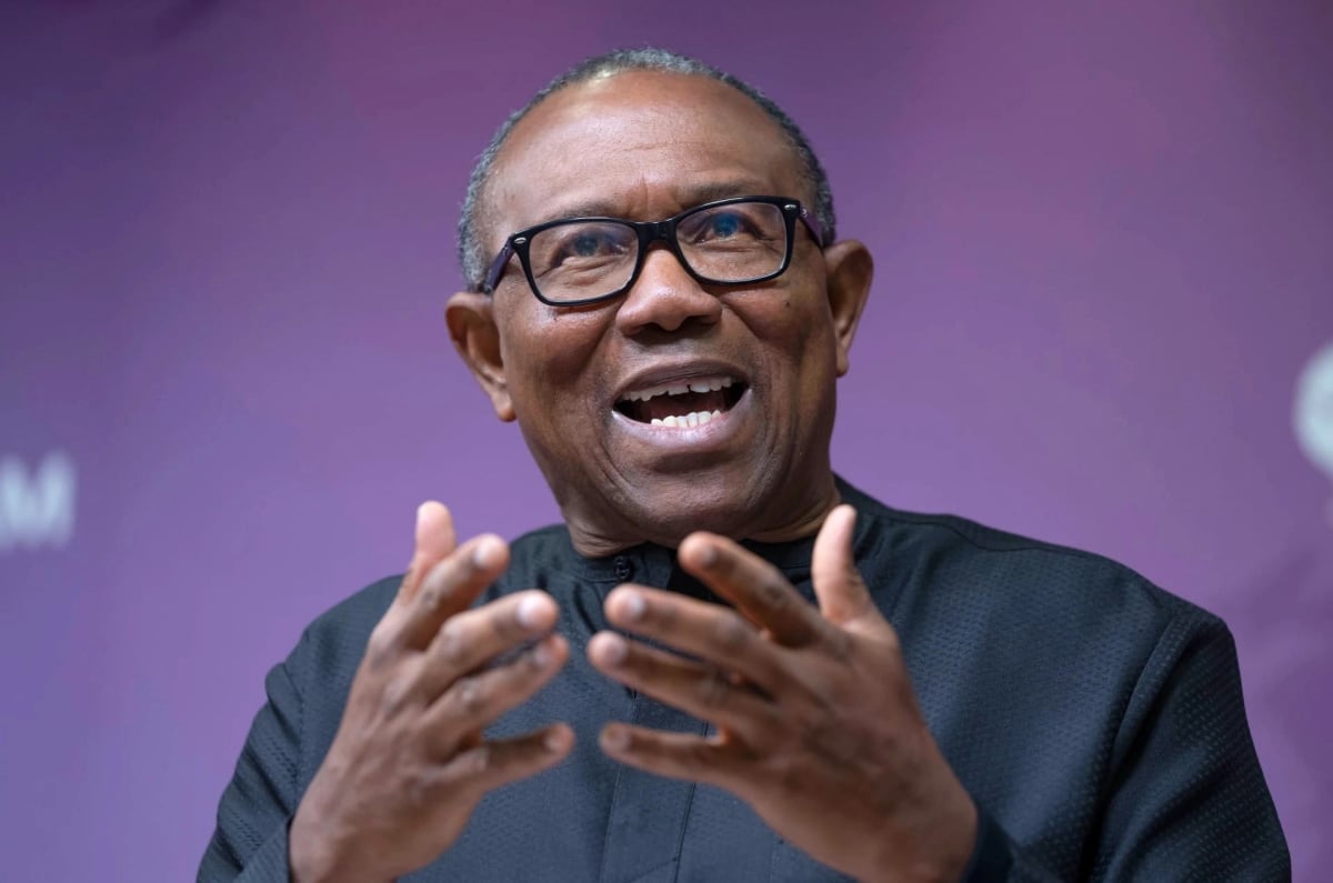Nigeria's New Education Fund Lifts Poor Students - Image 3