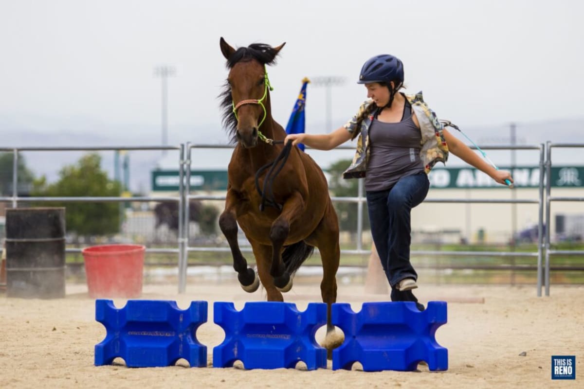 Nevada 4-H Seeks Volunteers to Help 41,000 Kids Grow - Image 2