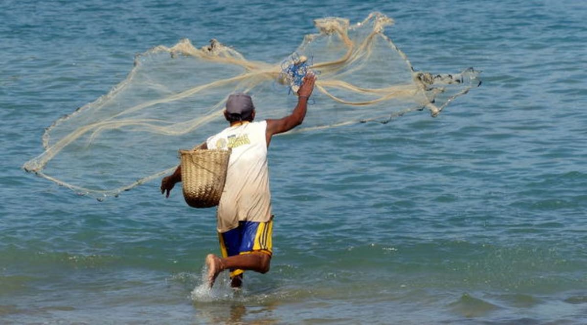 Nigeria and EU Team Up to Stop Illegal Fishing in Gulf