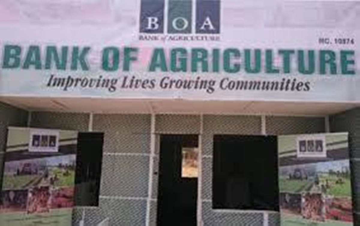 Nigeria Partners Bank to Lift 80M People Out of Poverty