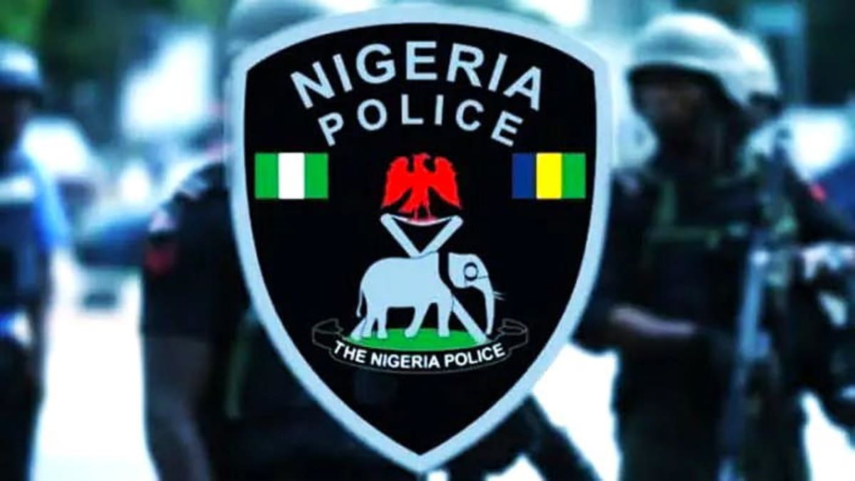 Nigeria Court Orders 455 Police Officers Reinstated