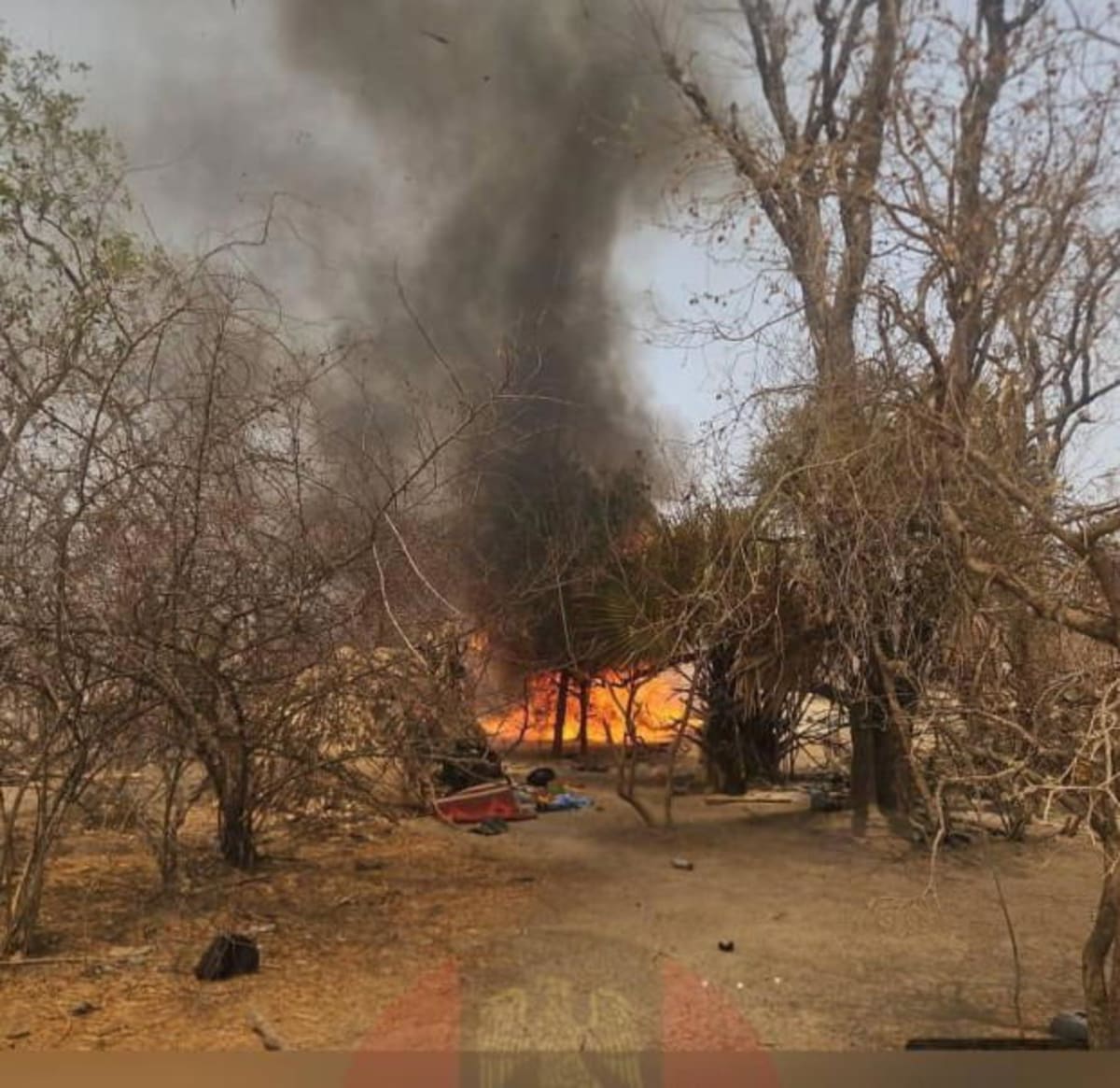 Nigerian military troops conducting rescue operations in forested terrain to free kidnapping victims