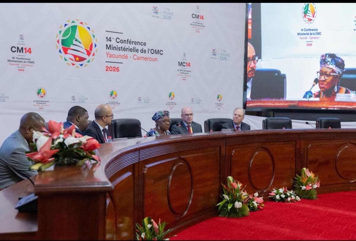 Africa Launches Trade Group to Shape Global Commerce