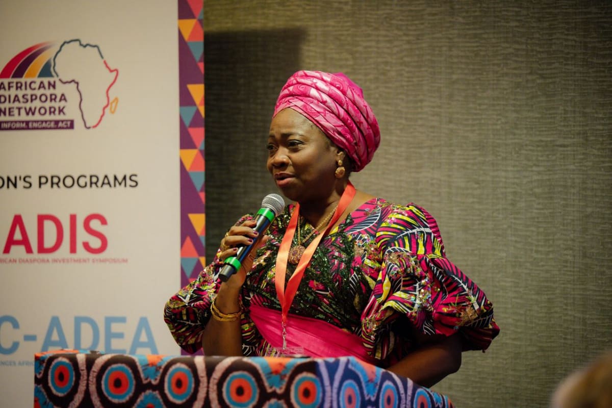 Nigerian and Silicon Valley tech professionals networking at investment symposium in California