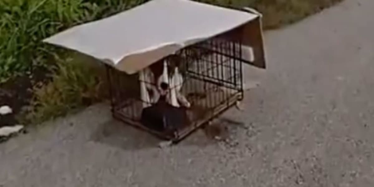 Ohio Officer Rescues Caged Puppy Left by Highway