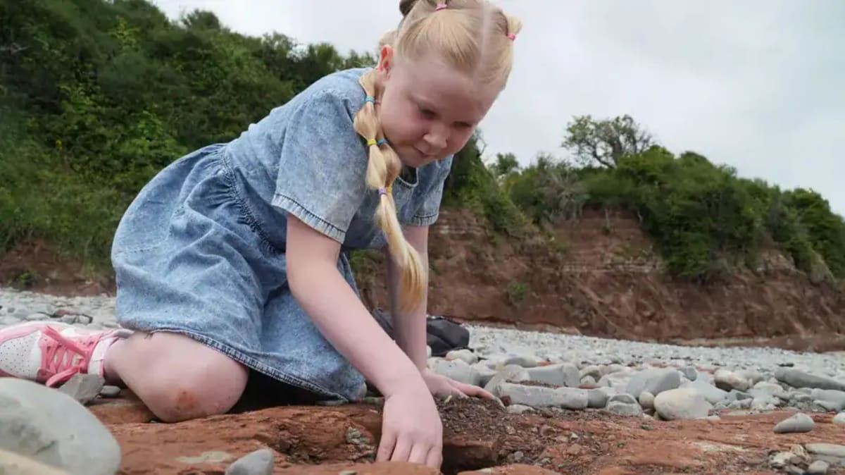 10-Year-Old Spots 200-Million-Year-Old Dinosaur Tracks