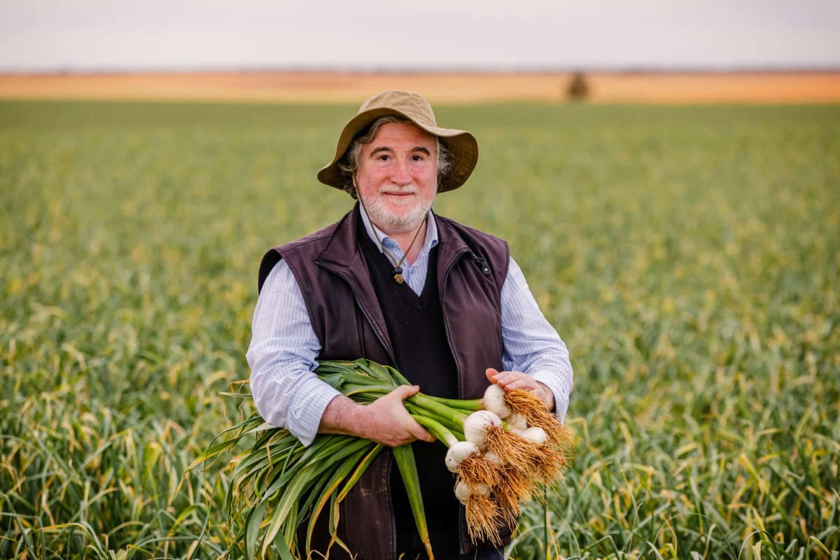 Nick Diamantopoulos examining garlic plants at Australian Garlic Producers research facility