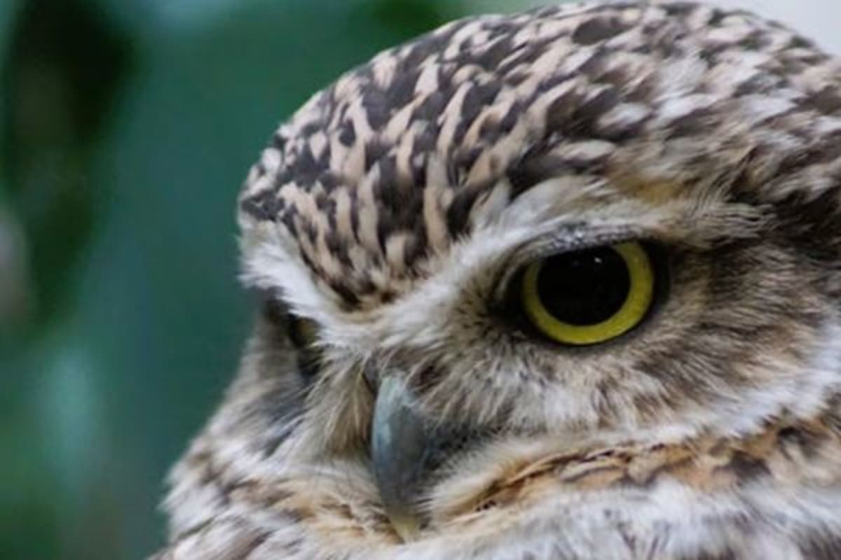 Professor Rethinks AI: It's a Learning Tool, Not Cheating - Image 4