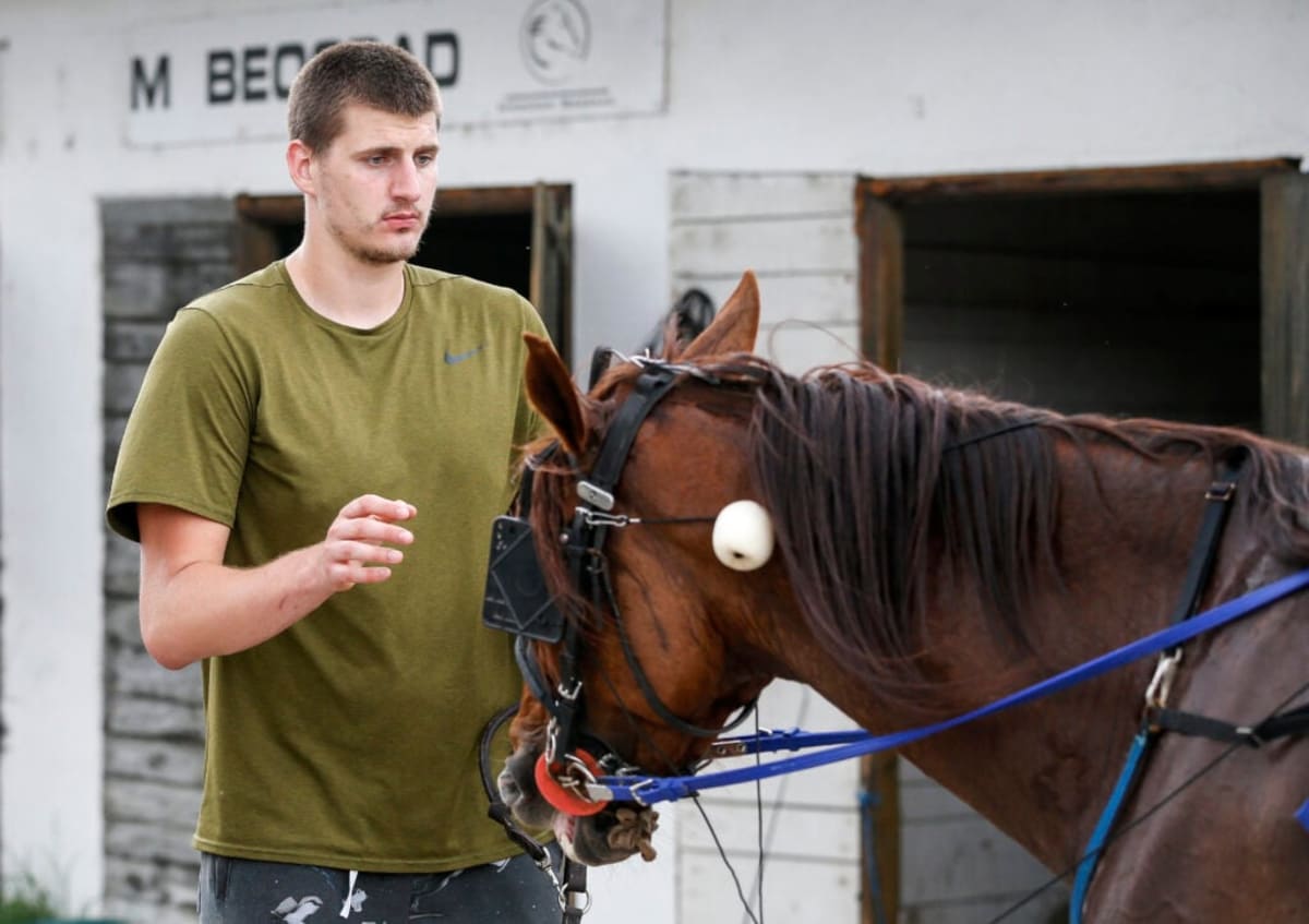 NBA Star Nikola Jokic Celebrates Horse Win Like a Champion - Image 4