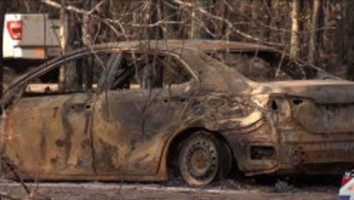 Volunteers Dig Through Wildfire Ash to Find Family Treasures - Image 5
