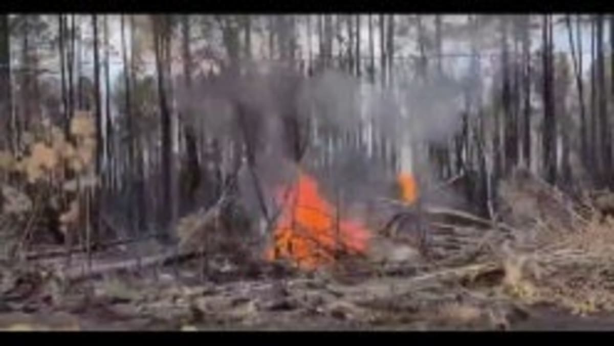 Volunteers Dig Through Wildfire Ash to Find Family Treasures - Image 4
