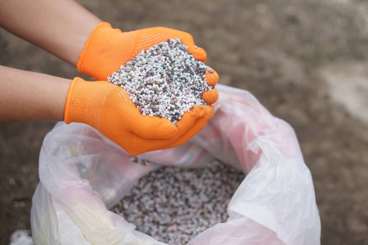 Japan Turns Sewage Into Fertilizer to Boost Food Security - Image 2