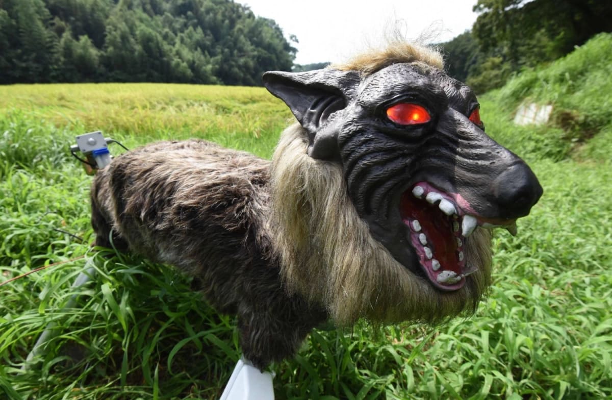 Japan's Robot Wolves Protect People From Rising Bear Attacks - Image 2