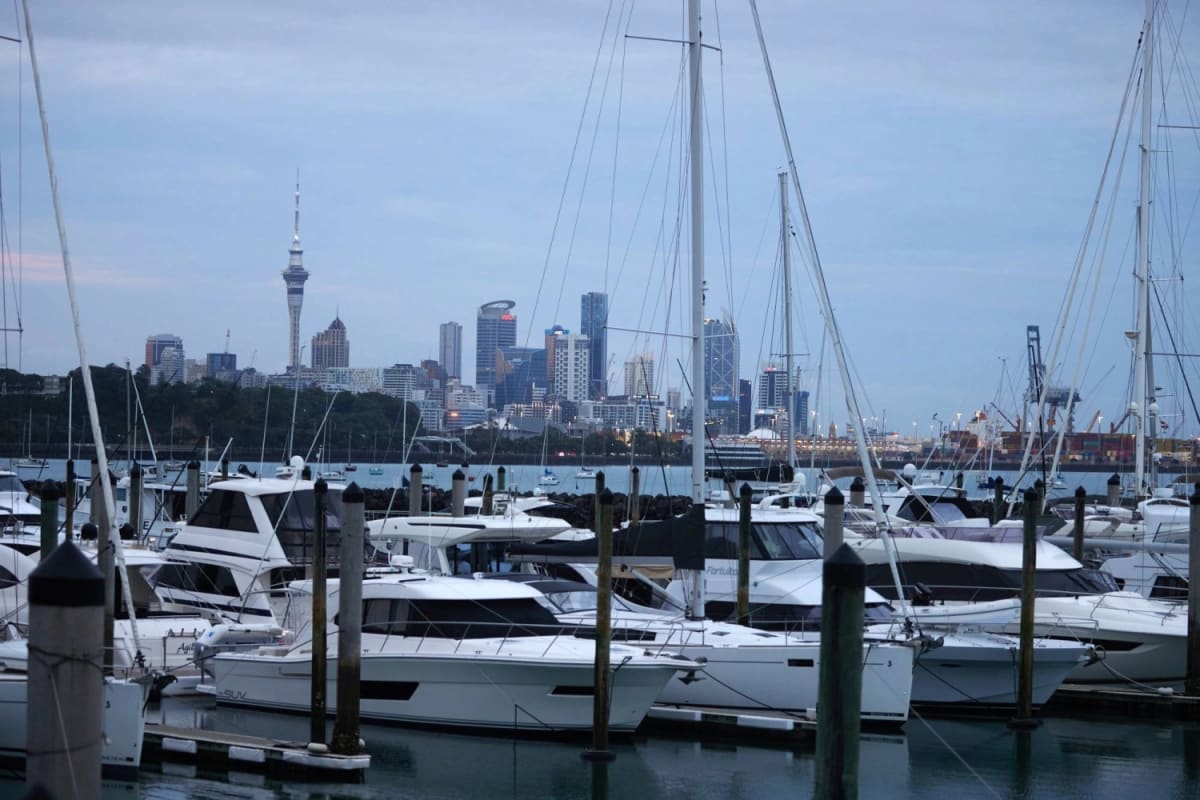 New Zealand Golden Visa Now Funds Charities - Image 2