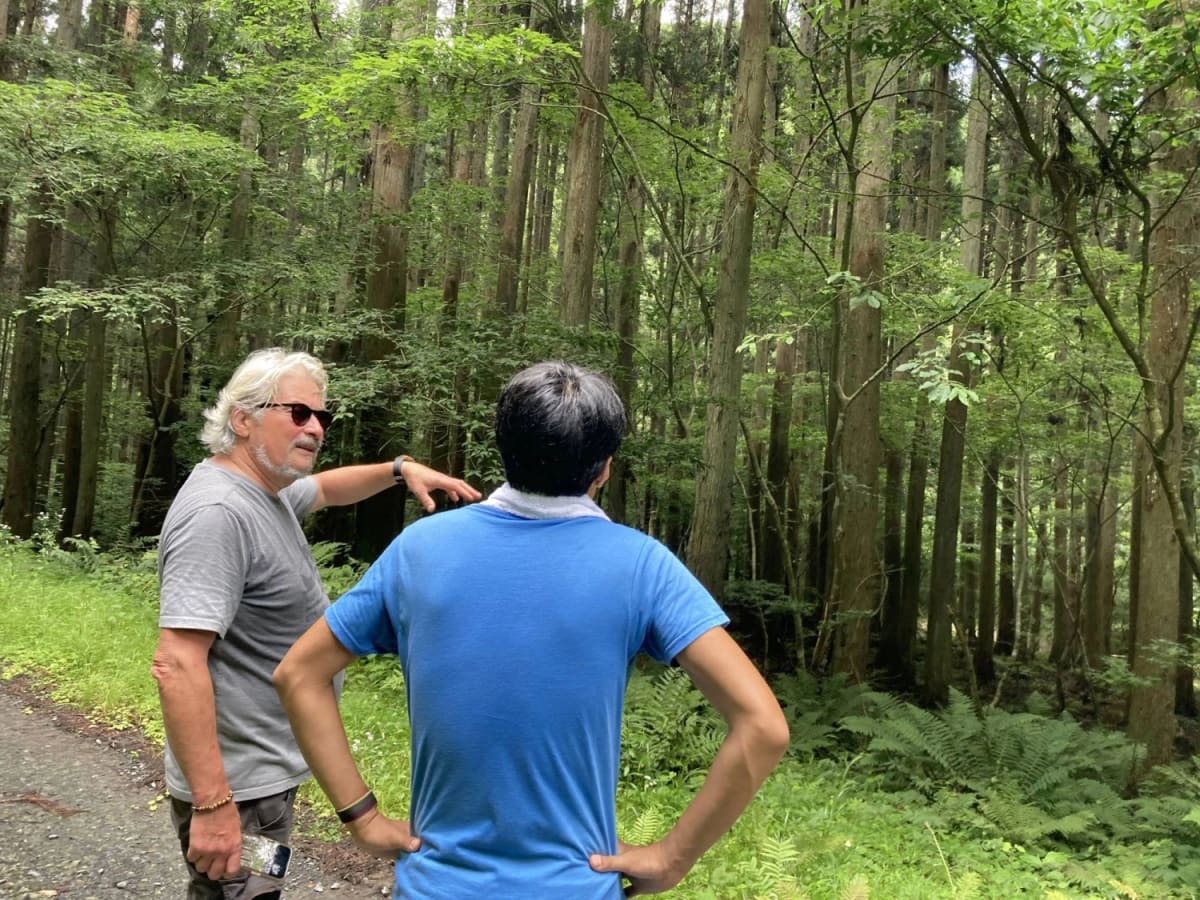 Japan Forests Turn Carbon Credits Into Conservation Win - Image 2