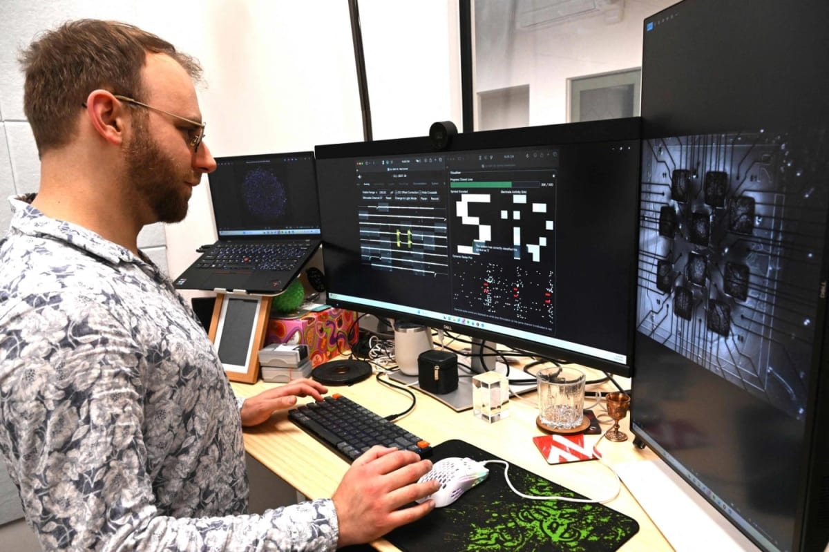 Lab-Grown Brain Cells Learn to Play Classic Video Game - Image 2