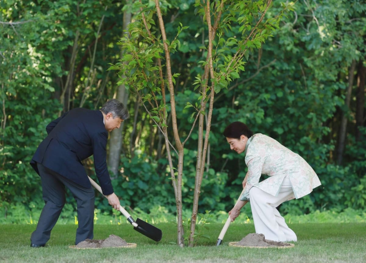 Japan's Emperor Plants Cherry Tree for 2011 Tsunami Victims - Image 2