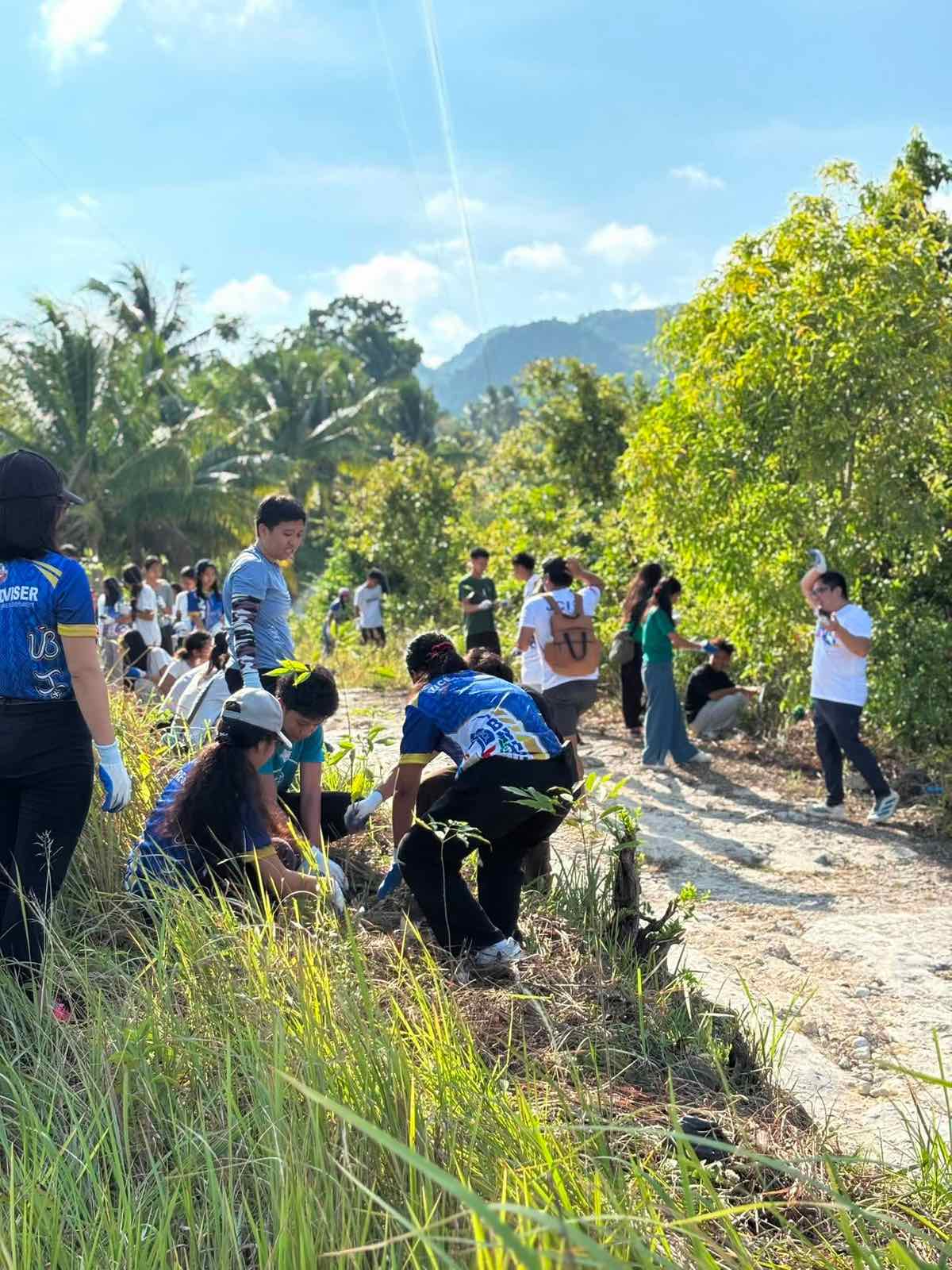 Community volunteers and students planting native tree seedlings on hillside in Moalboal, Philippines