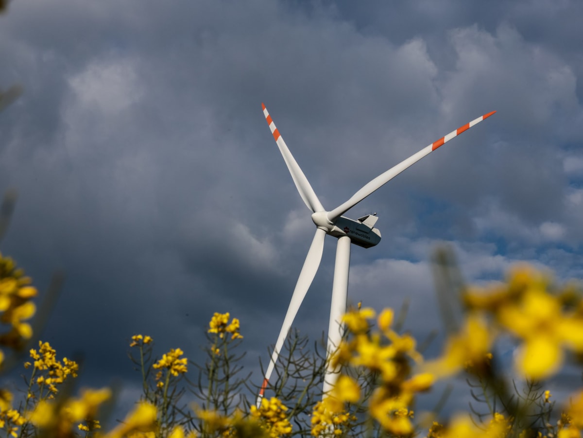 Renewables Hit 30% of EU Power Despite Political Pushback