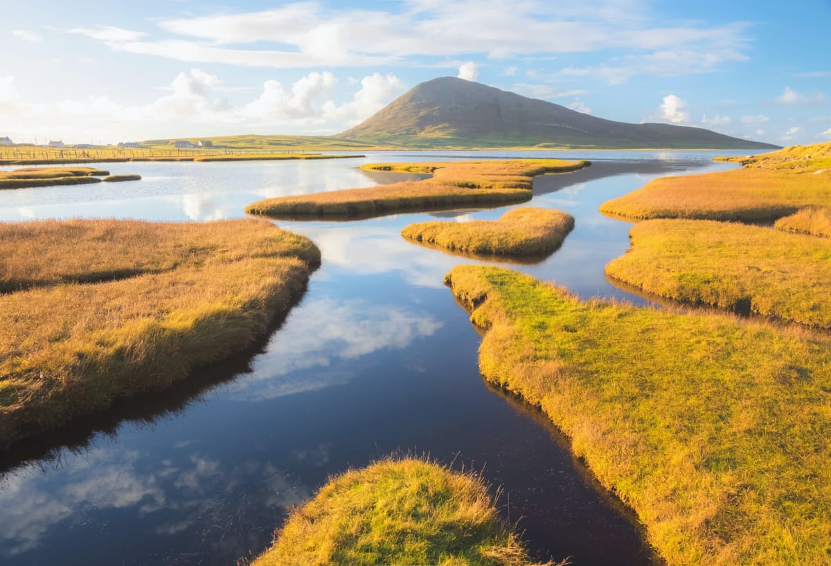 Nature Already Holds 37% of Climate Solutions We Need