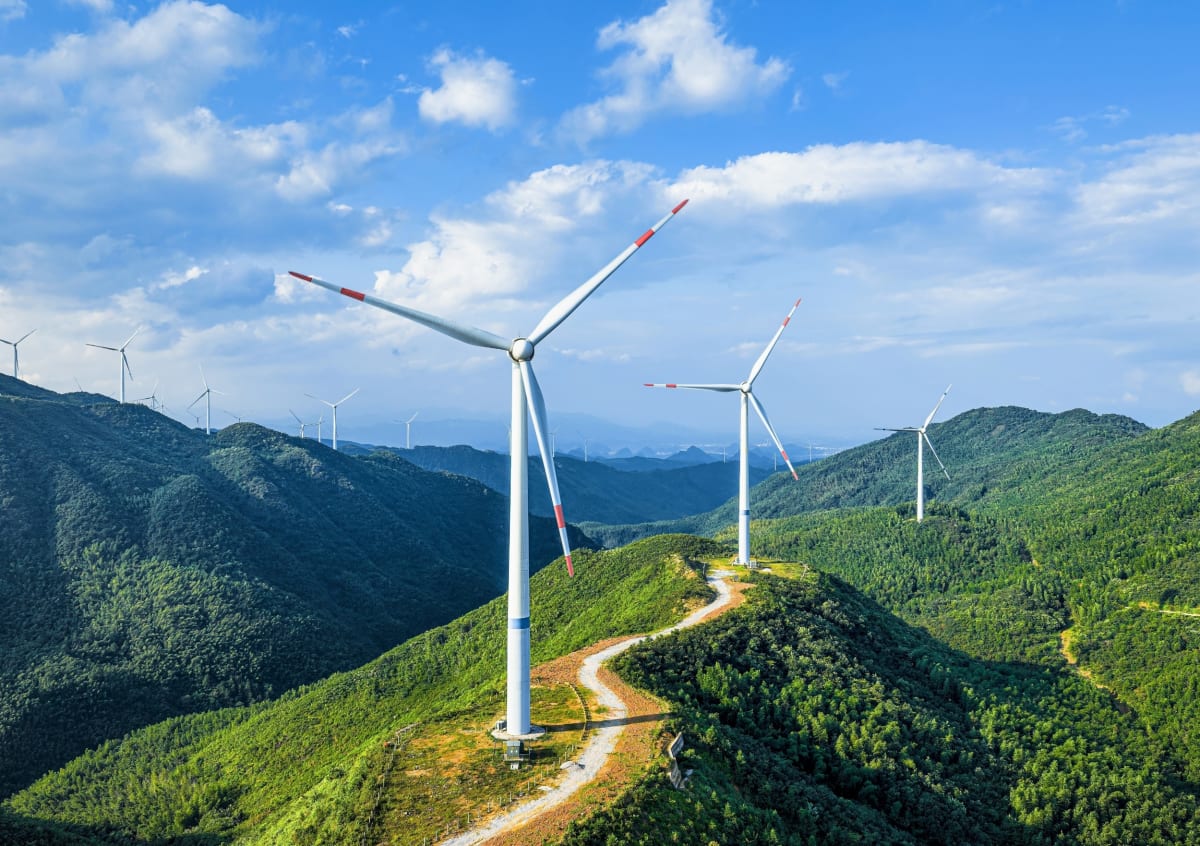 Solar and Wind Beat Carbon Capture in Climate Study