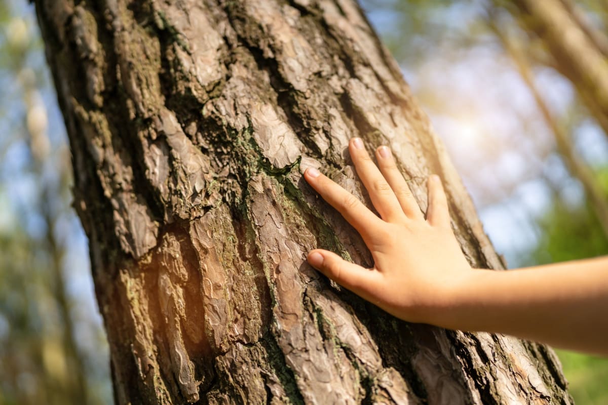 Why We Thank Our Cars: Science Explains Human-Thing Bonds