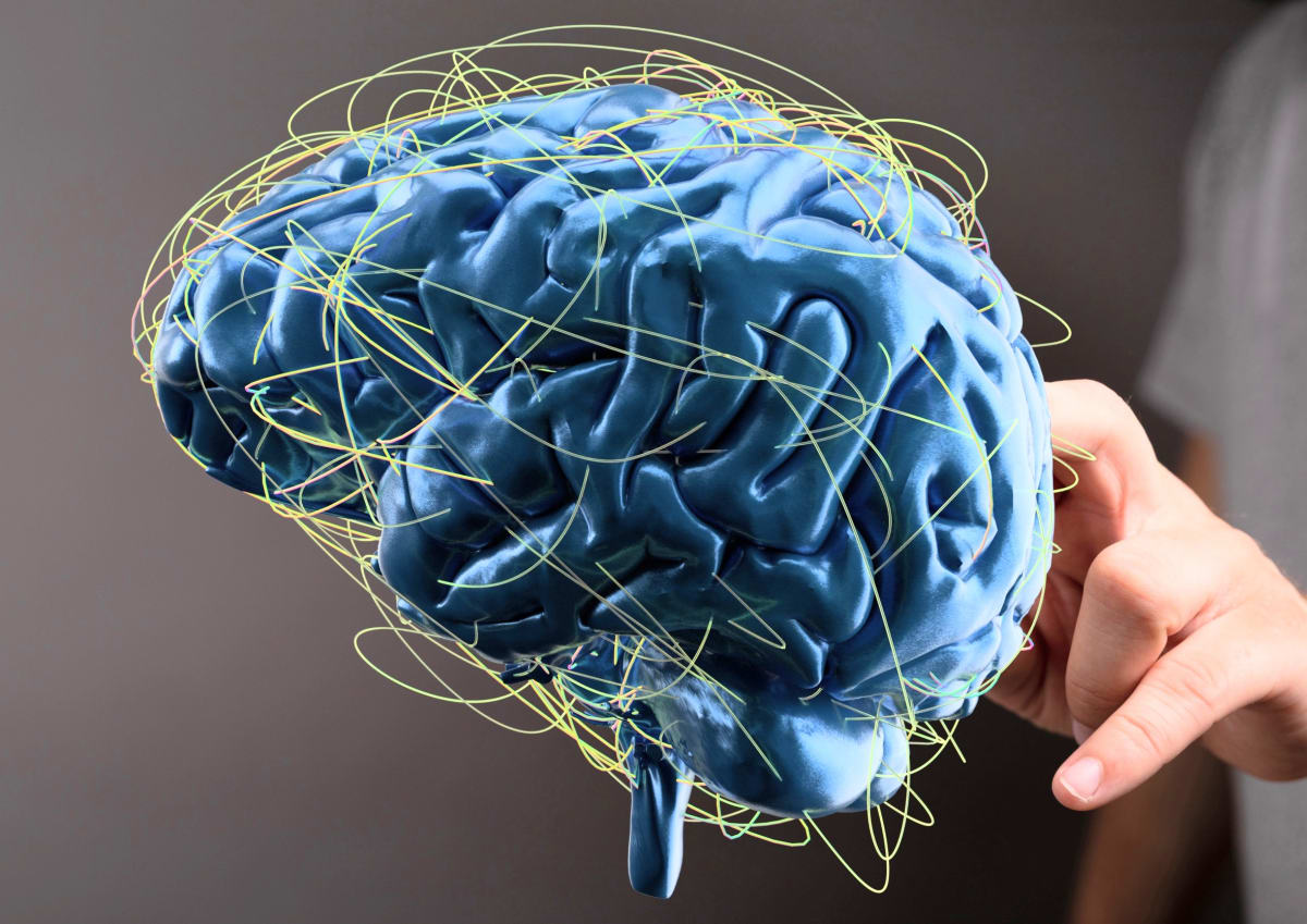 Scientists Map Brain's Waste System, Offering Alzheimer's Hope