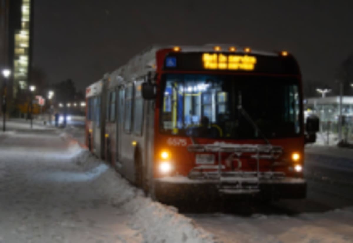 Canada Wins Wheelchair Curling Gold in Final-Stone Drama - Image 4