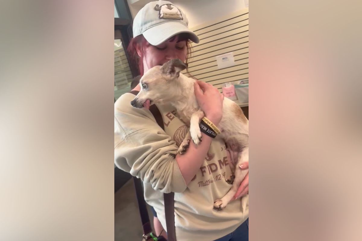 Clarksville Firefighters Help Save Dog on Busy Road