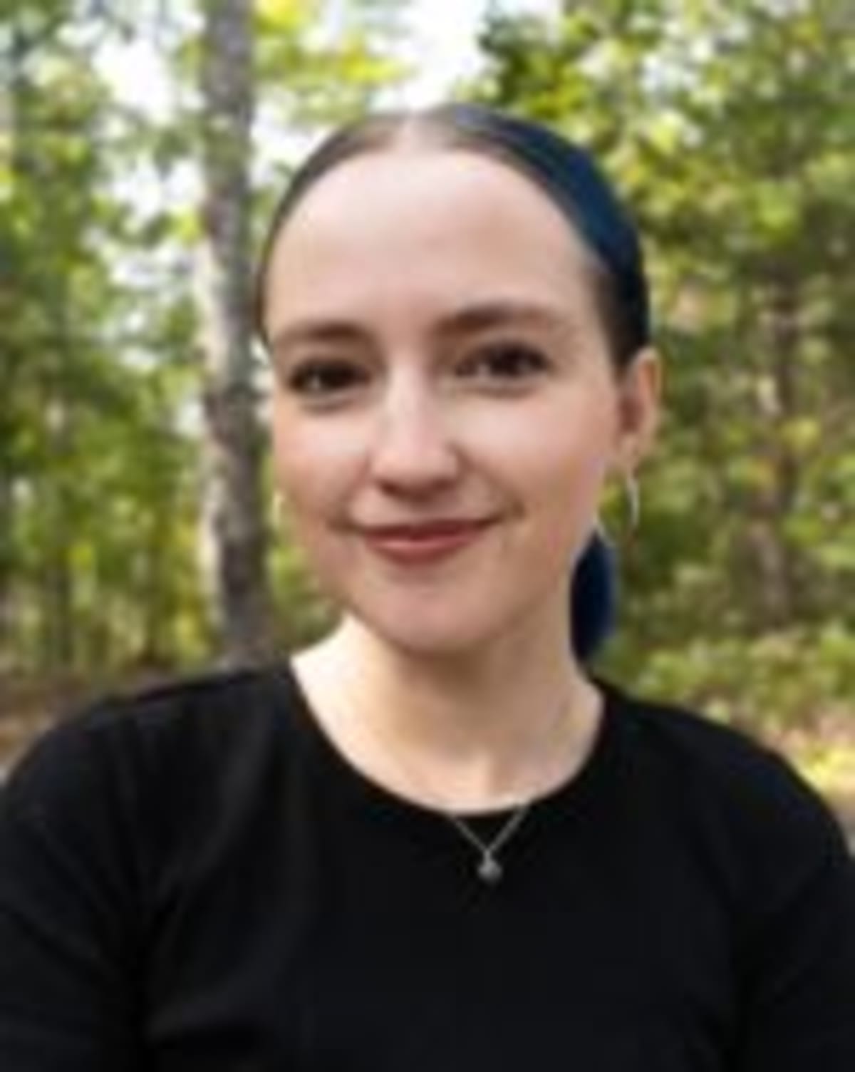 Georgia Gives $2.9M to Small Towns for Clean Energy Projects - Image 2