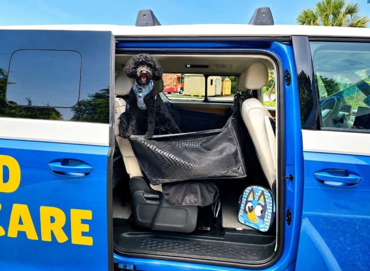 Savannah Dog Daycare's Electric 'Pup Bus' Delights Pets - Image 2